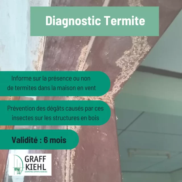 Diagnostic Termite